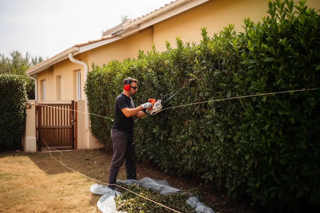 Taille d'une haie de cyprès dans un jardin à Juvignac