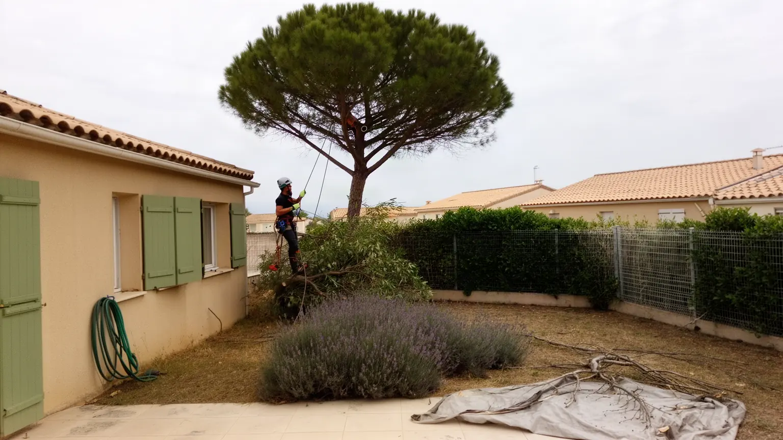 Élagueur professionnel à Pérols et alentours